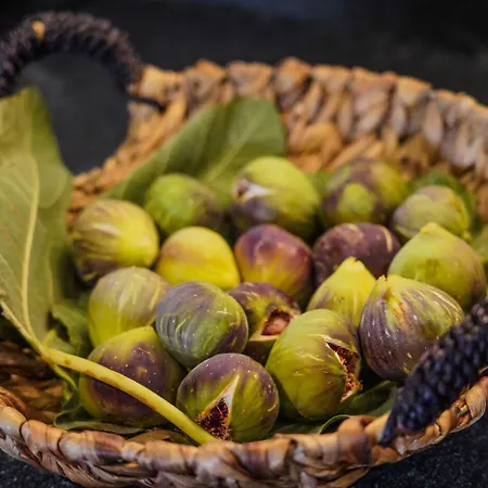 Apartment Moonlight & Exo Katikies (Santorini)